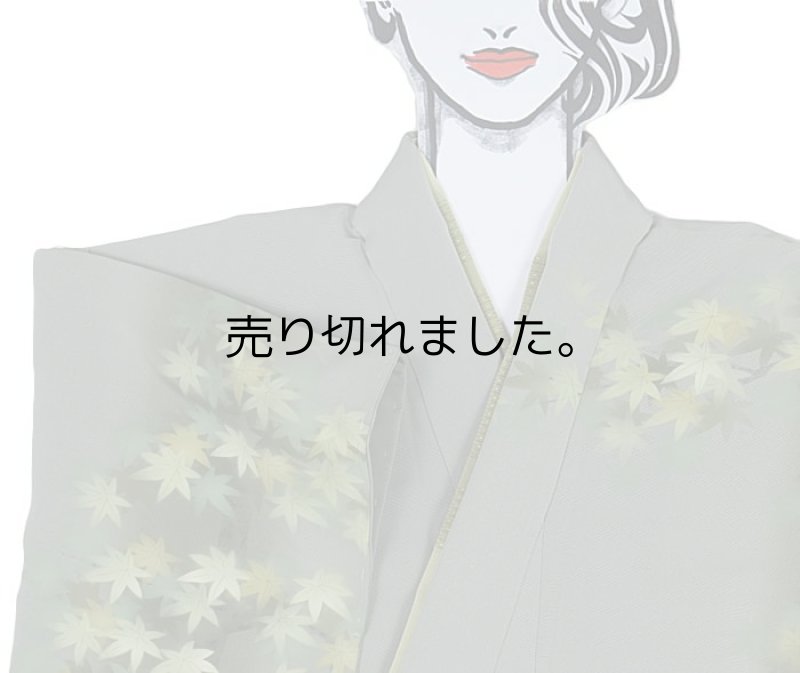 未使用品の訪問着 素描友禅訪問着 リユース着物 古典柄 送料無料