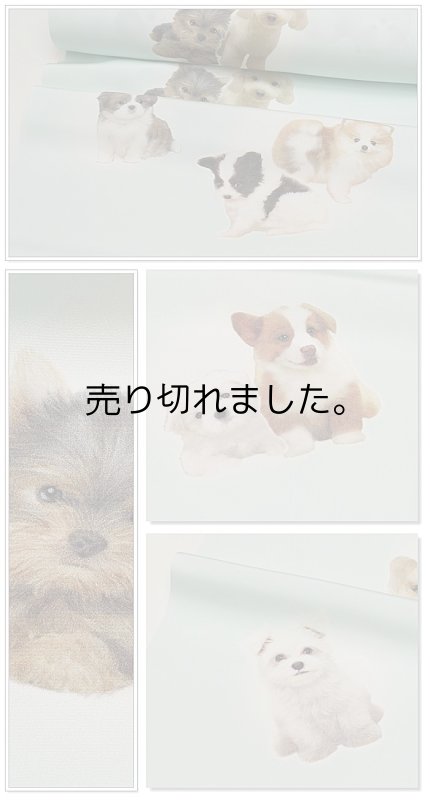 |長襦袢 反物 絹|正絹 染め長襦袢 犬柄 祇園小町 a6m3激安 チワワ、プードル、ヨークシャわんちゃん