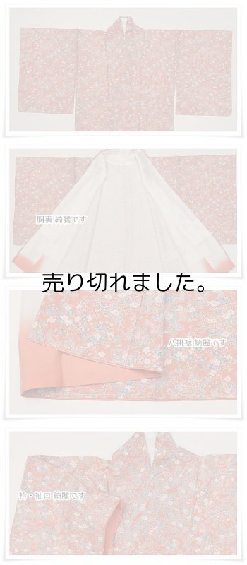 縮緬染め小紋 友禅染 小紋袷 未着品 洒落着物 美品着物|新古品 未使用 中古着物|リサイクル小紋 正絹着物 a1y3m5|中古|送料無料 細目 Sサイズ 身長155cm