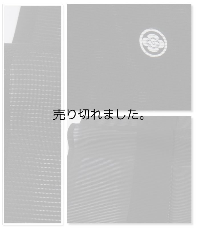 未着品 色無地 夏物 絽色無地 身丈162cm Sサイズ 法事法要葬儀