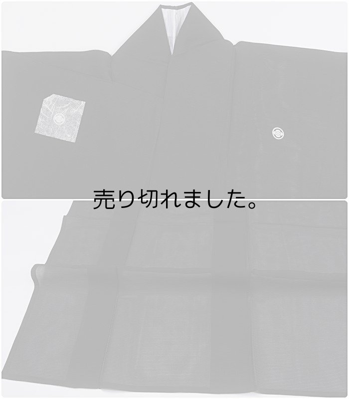 未着品 色無地 夏物 絽色無地 身丈162cm Sサイズ 法事法要葬儀