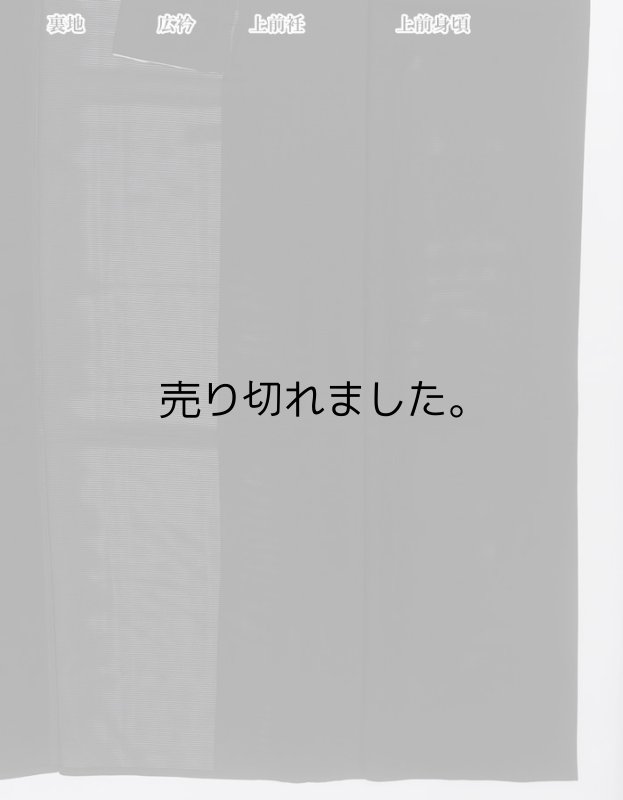 未着品 色無地 夏物 絽色無地 身丈162cm Sサイズ 法事法要葬儀